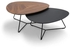 Audrey Set of 2 Coffee Tables-TB1000-EX0302