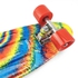 Pany 2206D Skateboard With PU Flash Wheels & CarryBag & Tool-Rainbow
