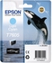 EPSON SC-P600 LIGHT CYAN INK CARTRIDGE - T7605