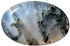 حجر عقيق يماني مصور مثل اغصان الشجر بيضاوي الشكل بوزن 14.85 قيراط