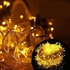LED Bulbs, Yellow For Decoration-100 Bulbs-10m.