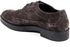 Versace Italia Taupe Oxford & Wingtip For Women