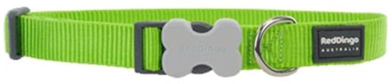 RedDingo Classic Dog Collar,  Lime Green