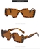 Irregular Small Rectangle Sunglasses for Women Men UV Protection