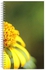 دفتر ملاحظات بطبعة وسلك حلزوني مقاس A4 أخضر/أصفر