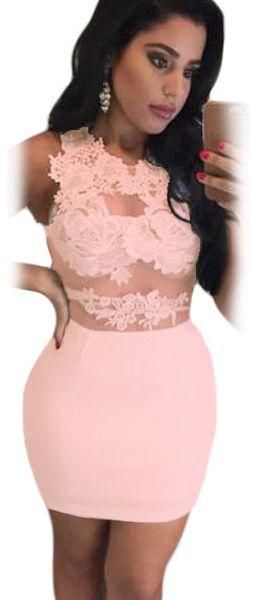 Pink Lace Mesh Applique Bodycon Mini Dress