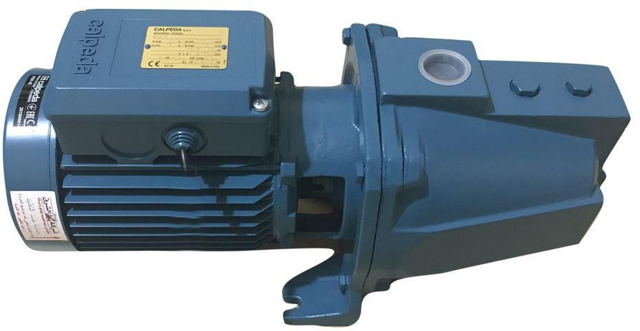 Calpeda Water Pump Motor - 1 HP - Blue