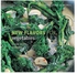 Williams Sonoma New Flavors For Vegetables: Classic Recipes Hardcover