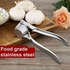Small Stainless Steel Manual Garlic Masher And Mincer - Silver