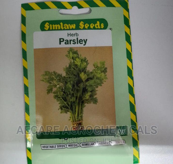 SIMLAW SEEDS Parsley Italian Giant Herb Seed 10G