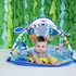 Bright Starts Finding Nemo Mr. Ray Ocean Lights & Music Gym™, Piece Of 1 Multi Color