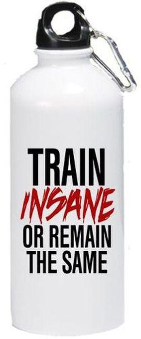 Train Insane Or Remain The Same Thermal Bottle Water - 500ml