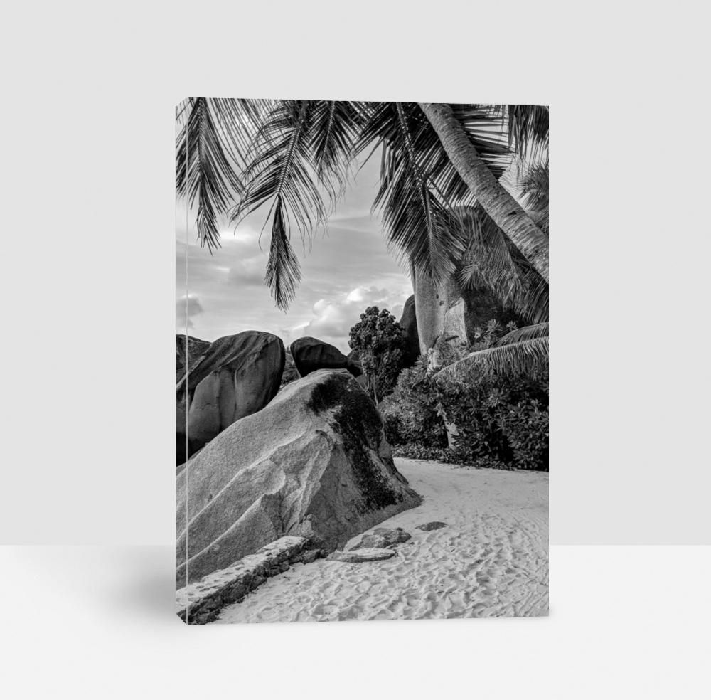 Black and White Photography of an Amazing Tropical Beach