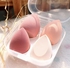 Makeup Sponge Powder Puff Dry And Wet Beauty Cosmetic Ball