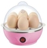 7 Eggs Capacity Boiler