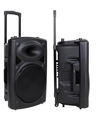 Sinel Sound Rechargeable Bluetooth PA System/2Wireless Mic,SD Card USB