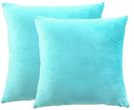 Decorative Pillow Covers 2pcs