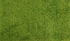 Score Grass Landscape ( 0.40 * 0.60 )