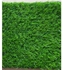 20 Square Meter Synthetic Artificial Carpet Grass - 30mm