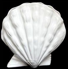 Ceramic White Sea Shell Vase