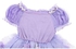 Princess Sofia Cosplay Fancy Puff Sleeves And Stretchable Party Dress Costume Set