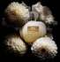 ANTONIO BANDERAS Her Golden Secret Eau de Toilette Perfume For Women, 80 ml
