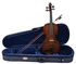 Violin With Storage Case