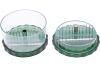 Goldedge Garlic Pro Chopper - 2 Pieces Green and Clear
