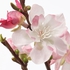 SMYCKA Artificial flower, cherry-blossoms/pink, 130 cm - IKEA