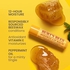 بلسم شفاه مرطب طبيعي 100٪ من بيرت بيس، بشمع العسل الاصلي، 2 انبوب في صندوق بلاستيكي
