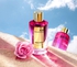 Roses Greedy For Unisex - Eau De Parfum - 120ml