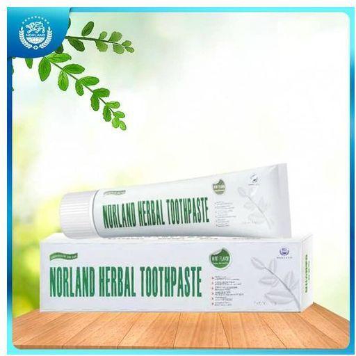 Norland Herbal Toothpaste - Mint (Treatment Of Mouth Odour)