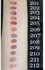 Glitter Matte lip gloss + FREE Menow lipstick remover - 201