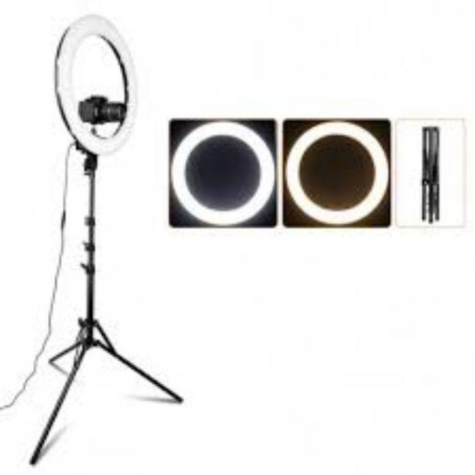 Selfie Light Ring With 16" Mirror - 38cm With Bag + Stand - 210cm