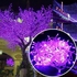 3M LED String Fairy Lights, Waterproof Decorative Light for Indoor &amp; Outdoor. Purple Color.