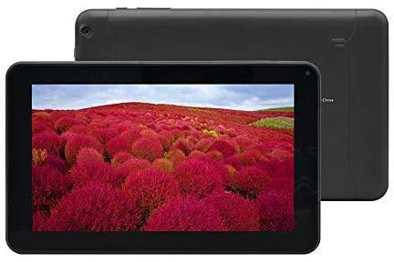 WinTouch Q93S Tablet (Android 4.0.4,Dual Core,512 MB RAM,9 Inch, 8GB, WiFi, Black)