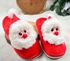 Home Fur Warm Foot Flip Flop For Women