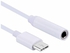 Generic USB To Type-C Audio Adapter Cable White