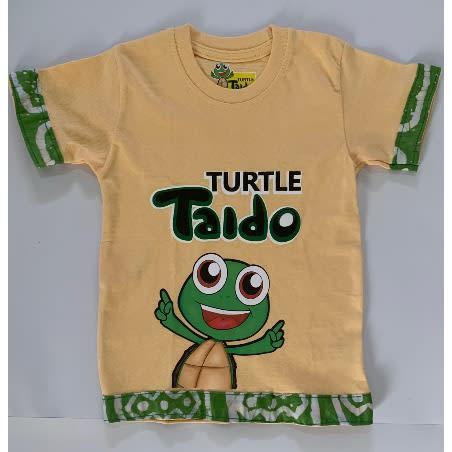 Turtle Taido Boys Tshirt - Multicolour