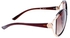 Michael Kors M3640S-252-60 Brown Frame Sunglasses for Women