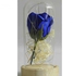 Rose With Fairy String Lights In Dome For Christmas Valentine's Day Gift B72- LED Light