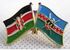 Fashion Kenya - Kajiado Double Flag Lapel Pin
