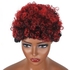 Fashion African Small Curly Wig, Female Short Curl Rose Net Wig Headgear