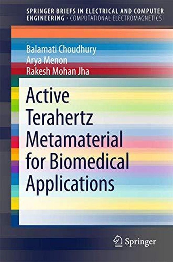 Active Terahertz Metamaterial for Biomedical Applications (SpringerBriefs in Electrical and Computer Engineering)