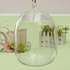 Universal Hanging Mount Bubble Aquarium Fish Glass Vase Tank Plant Home Decoration 16x10cm