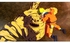 لعبة ناروتو اكس بوروتو التيميت نينجا ستورم كونيكشنز: اصدار كوليكتورز (سويتش)