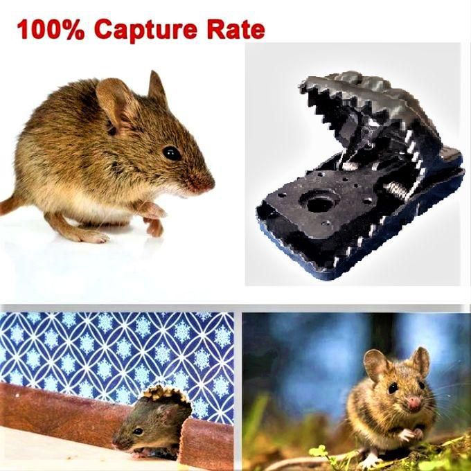 Mouse & Rat Trap Press Catcher