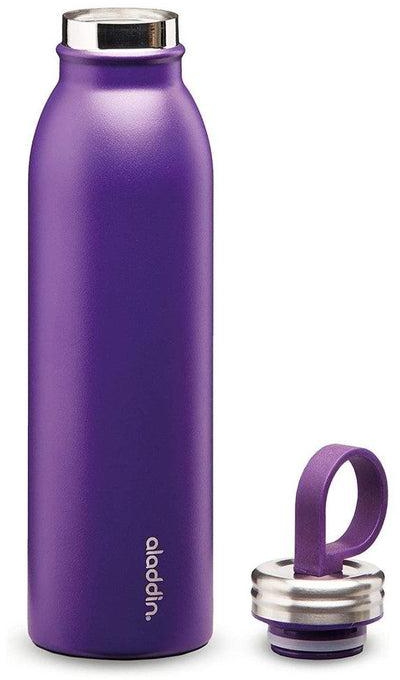 ALADDIN Chilled Thermavac Stainless Steel Water Bottle