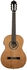 Buy Ortega Performer Series Classic Guitar, Solid Canadian Cedar Top, Gloss Finish, with Electronics Included Pro Gig Bag -  Online Best Price | Melody House Dubai