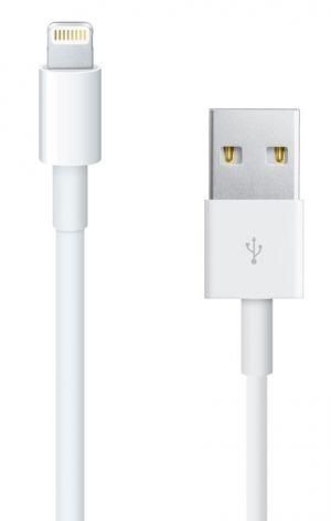 Lightning to USB cable (1 m)